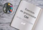 exercice de grammaire cm1 avec correction pdf