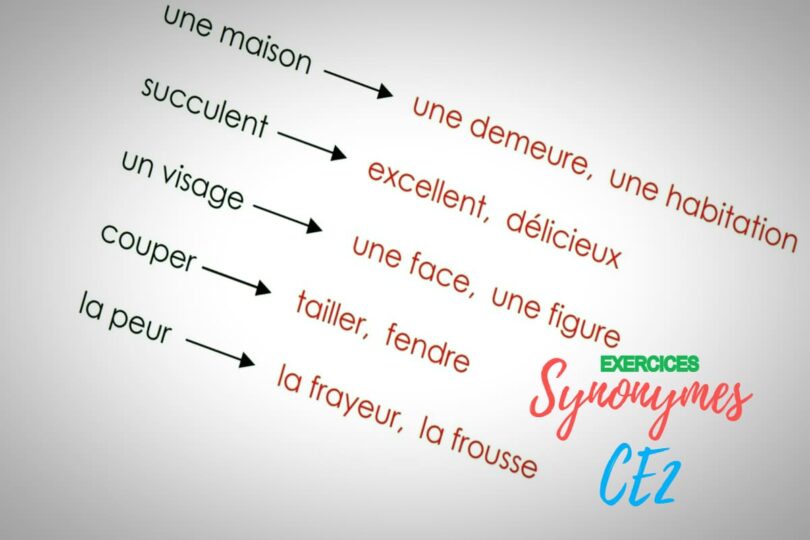 exercices-sur-les-synonymes-ce2-imprimer-prof-innovant