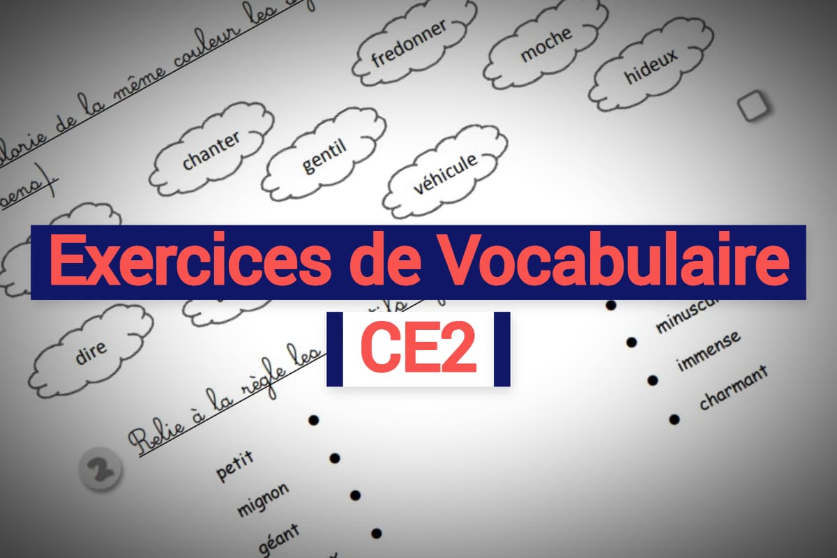 Exercices De Vocabulaire Ce2 Fiches à Imprimer Prof Innovant 8896